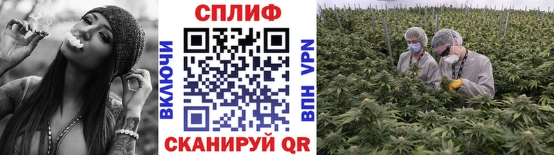 МАРИХУАНА индика Александровск